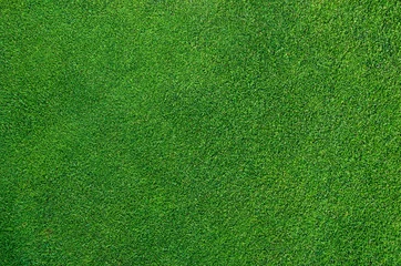 Stoff pro Meter Perfektes Golfgrün © Petair