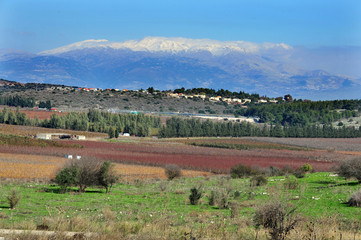 Travel Photos of Israel - Mount Hermon