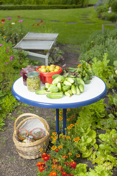 Erntezeit im Gem&uuml;segarten