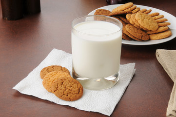 Ginger snap cookies and milk