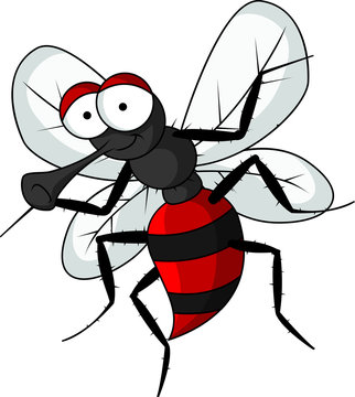 mosquito cartoon