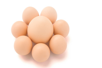 big and small eggs shaped line a flower with clipping path
