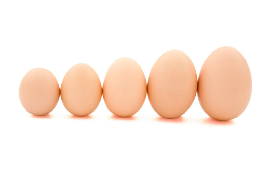 different size eggs line up with clipping path