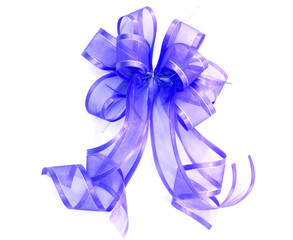 Blue satin gift bow