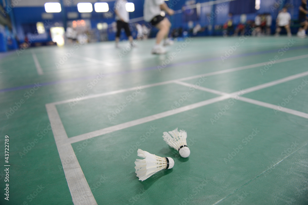 Canvas Prints badminton