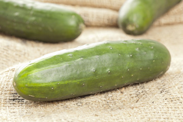 Fresh Organic Cucumber