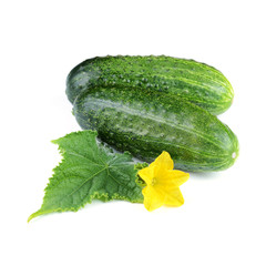 Two Cucumber Vegetables with Leaf and Flower Isolated on White