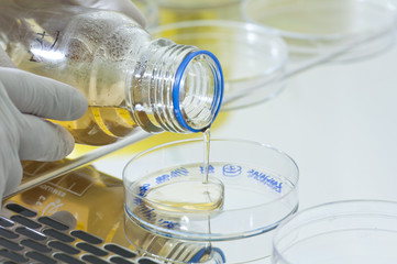 Liquido químico para cultivo de bacterias en placa