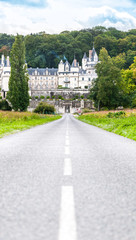 Obraz premium Chateau d'Usse, France.