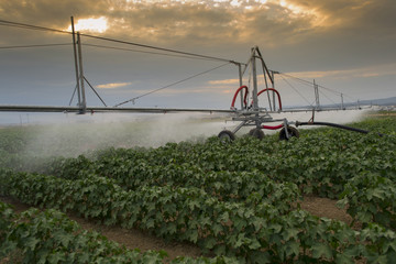 pivoting irrigation system