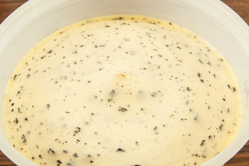 ice cream vanilla in bowl