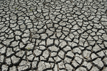 Wetland damaged by drought