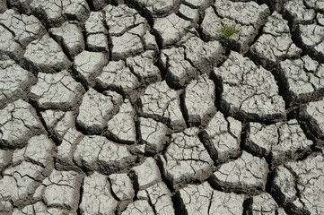 Wetland damaged by drought