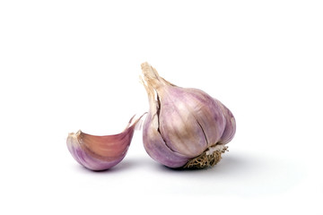Garlic Clove and bulb isolated