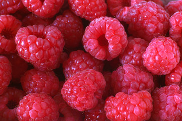 closeup of fresh, juicy rasperries