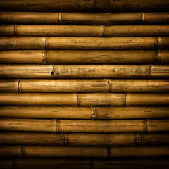 bamboo background