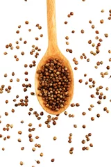 Poster Heap coriander seeds in wooden spoon © Africa Studio
