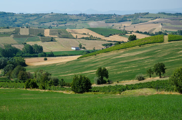 Obraz premium I Colli Tortonesi - (Al)