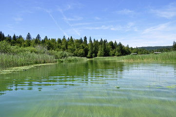 Fototapeta premium Lac de Saint-Point en Franche-Comté.