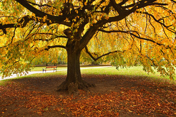 Parco di Schloss Ambras, Innsbruck
