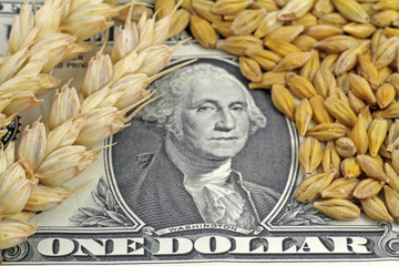 dollar in korn