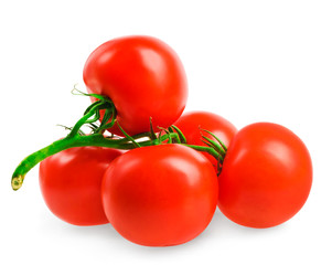 tomatoes