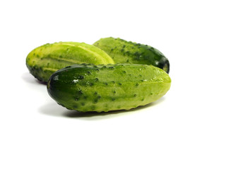 cucumber