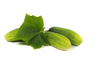 fresh cucumber
