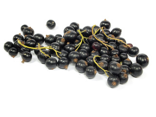 black currant