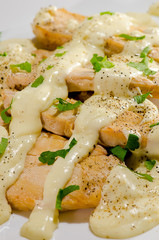 Chicken with white sauce on a white plate.