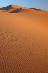 Sahara Desert