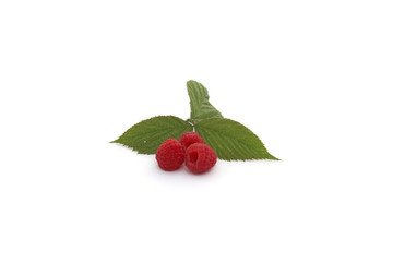 framboises