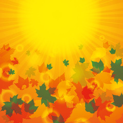 Autumn abstract background