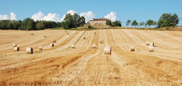 campagna toscana dopo la trebbiatura del grano