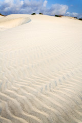 White sand dune