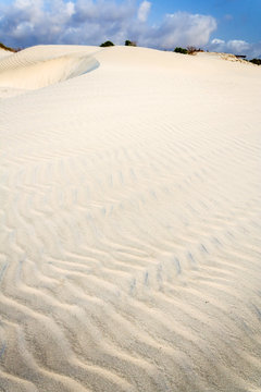 White sand dune