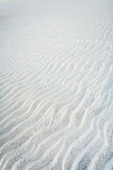 Fototapeta na wymiar White sand dune