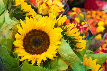 Obraz premium Sonnenblumen, Blumenmarkt, Sommerblumen