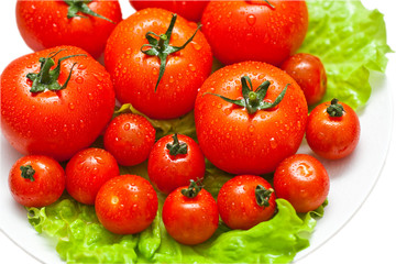 tomatoes over white