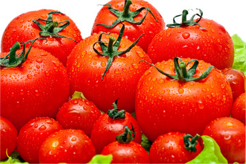 tomatoes over white