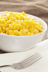 Macaroni and Cheese in a bowl