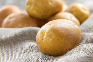 Potato
