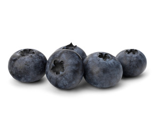Obraz premium Bilberries or whortleberries cutout