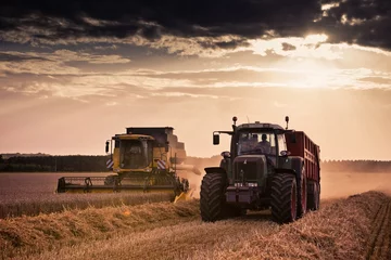 Foto op Aluminium oogst tractor tarwe oogstmachine landbouw © shocky