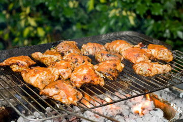 babecued chicken