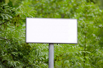 Blank sign in the woods