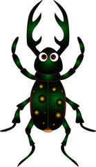 cartoon beetle on white background