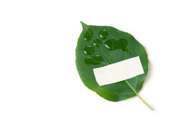 Environment protection concept: green leaf and band aid on white