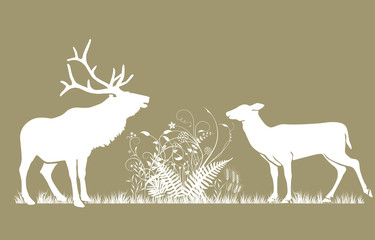 Hirsch und Hirschkuh