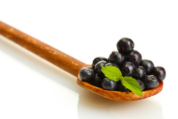 blueberries with mint in wooden spoon isolated on white